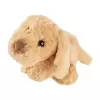 Bild 4 des Artikels sigikid Kuschel Hund, Flauscherie, 30 x 12 x 10 cm 