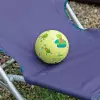 Bild 5 des Artikels sigikid Frosch Kautschukball klein, 12 x 12 x 12 cm 